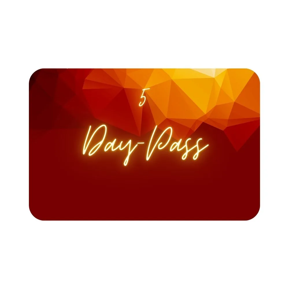 5 Single Day-Pass