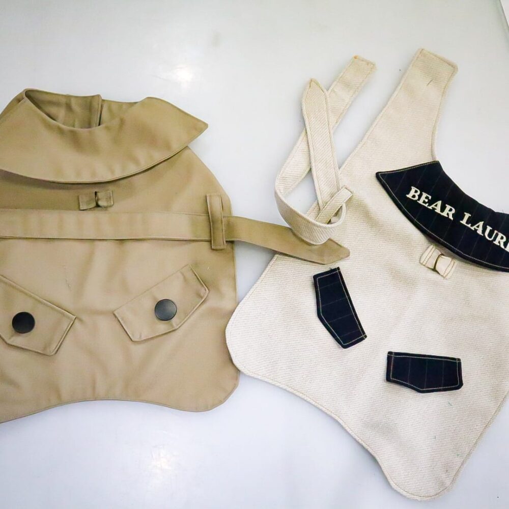 Pet Clothes Classes - Image 2
