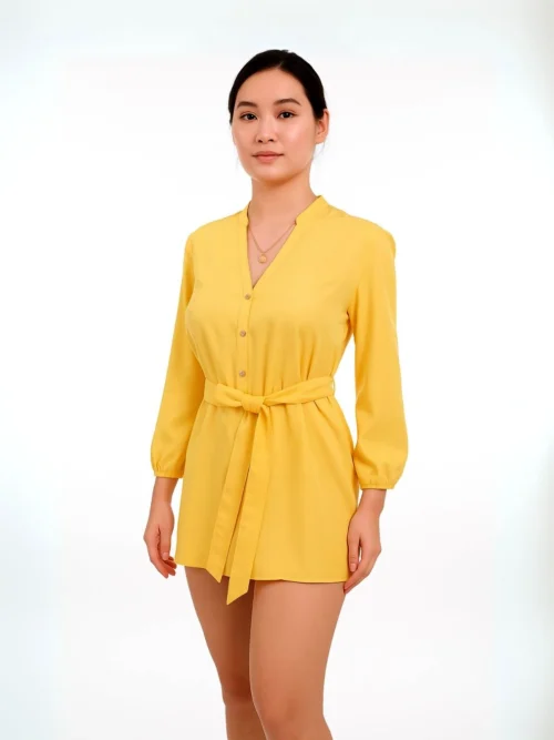 2224 Shirt Dress
